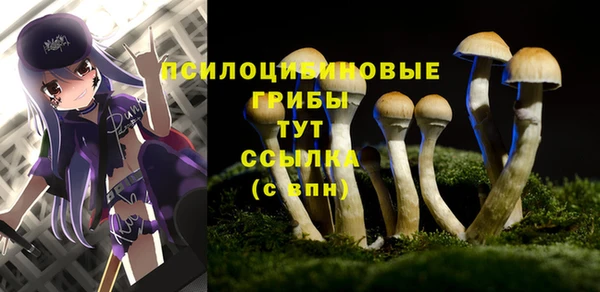 соль ск Балабаново
