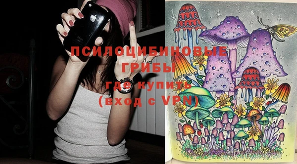 соль ск Балабаново