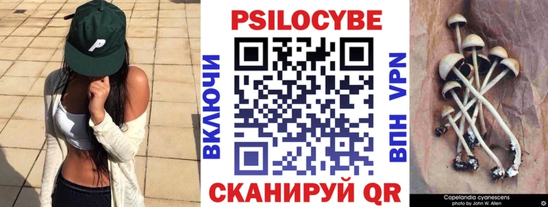 Галлюциногенные грибы Psilocybe  Топки 